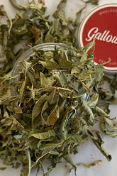 Lemon Verbena